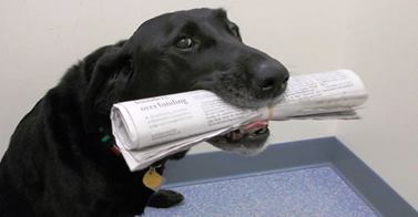 Watertown Veterinary Clinic - Watertown, MN - Betsy holding News
